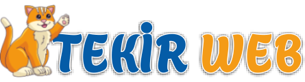 Tekir Web E-TİC 3